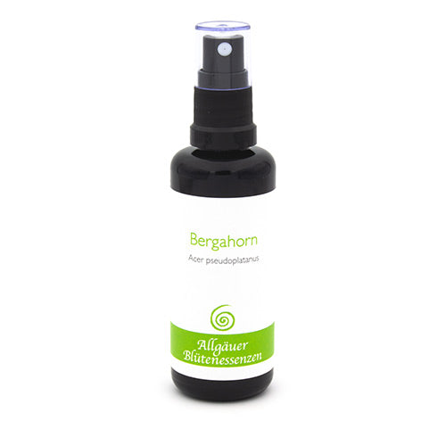Essence florale d’Allgäu – érable sycomore