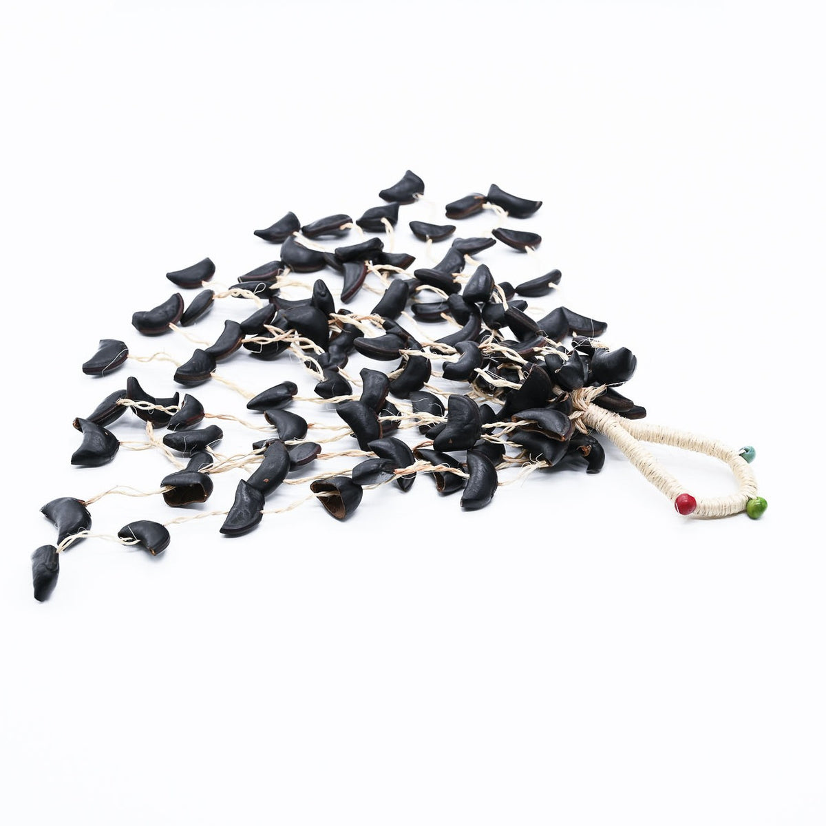 Rassel Cabalonga aus Mucuna Samen