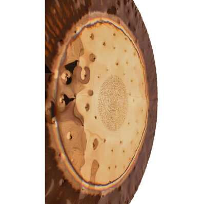 Gong Mystical Earth Taille 32