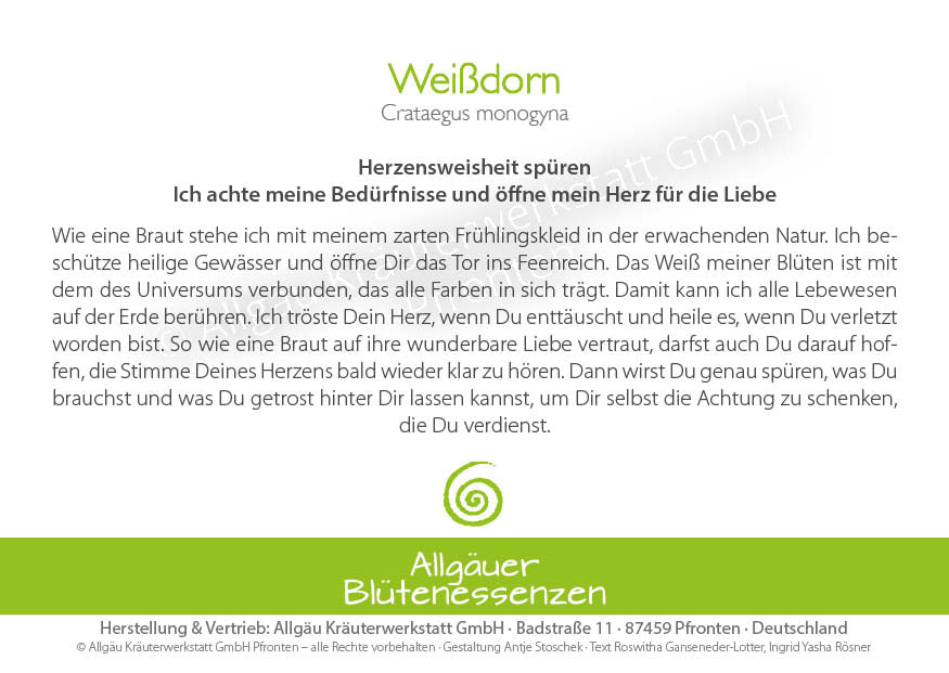 Essence florale d’Allgäu – aubépine