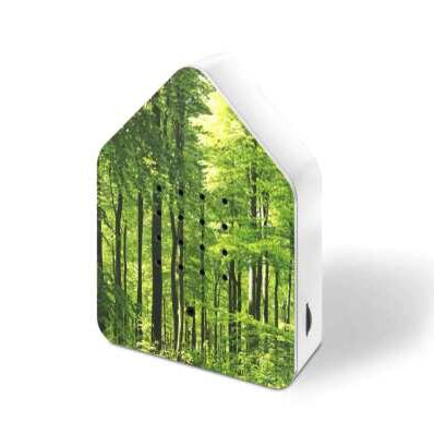 Zwitscherbox Wald