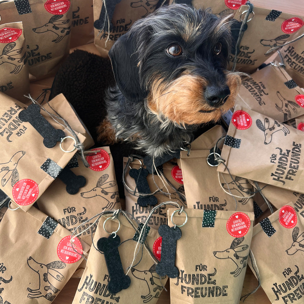 Borsa portafortuna per gli amanti dei cani
