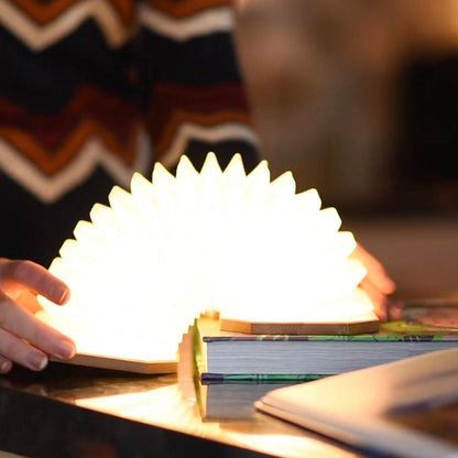 Smart Accordion Lamp