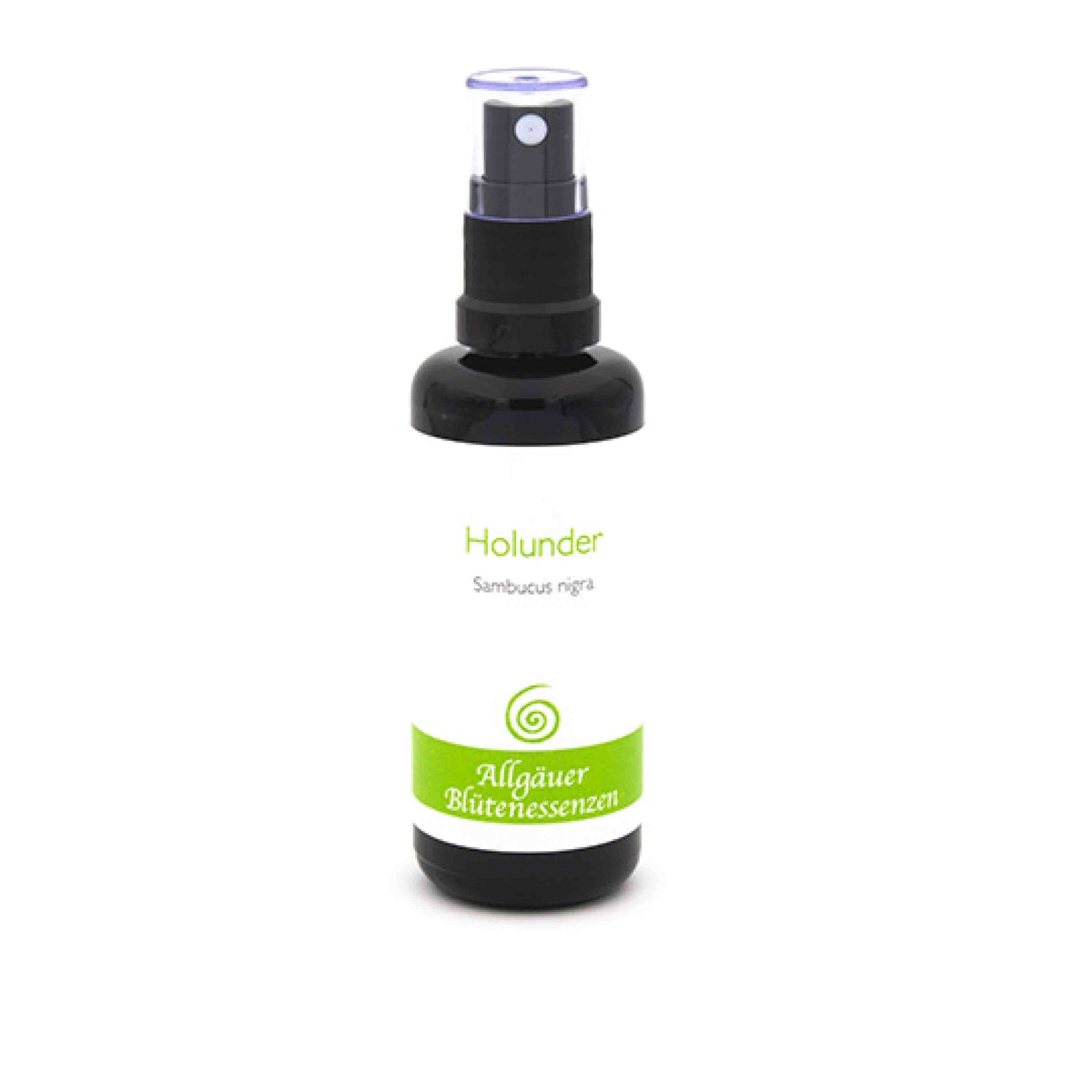 Essence florale d’Allgäu – sureau