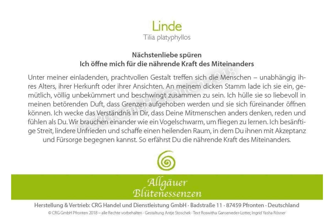 Essence florale d’Allgäu – tilleul