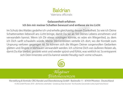 Essence florale d’Allgäu – valériane