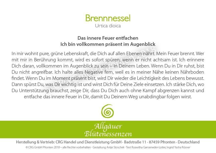 Essence florale d’Allgäu – ortie