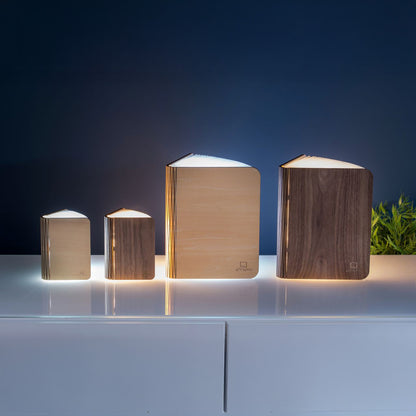Smart Book Light