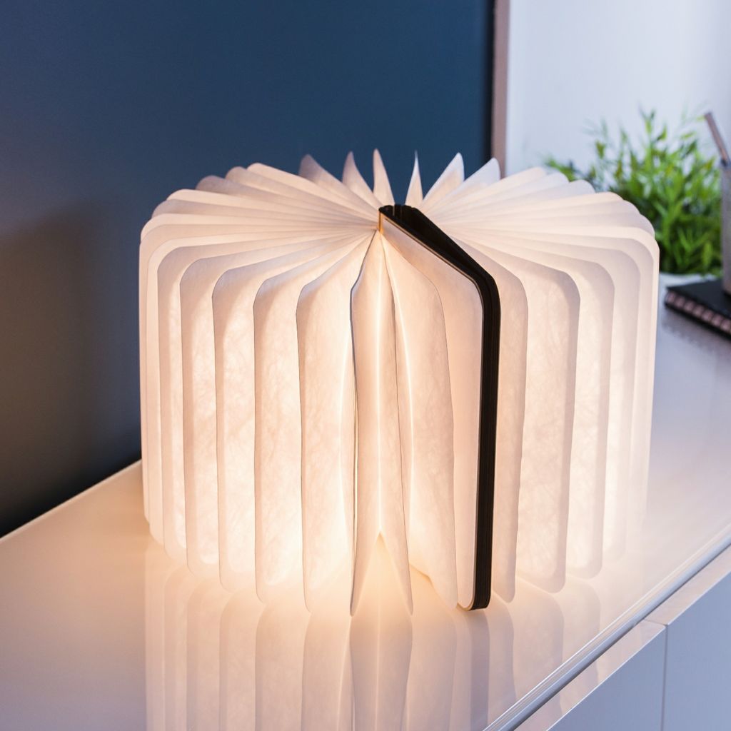 Smart Book Light