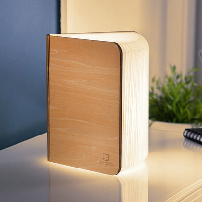 Smart Book Light
