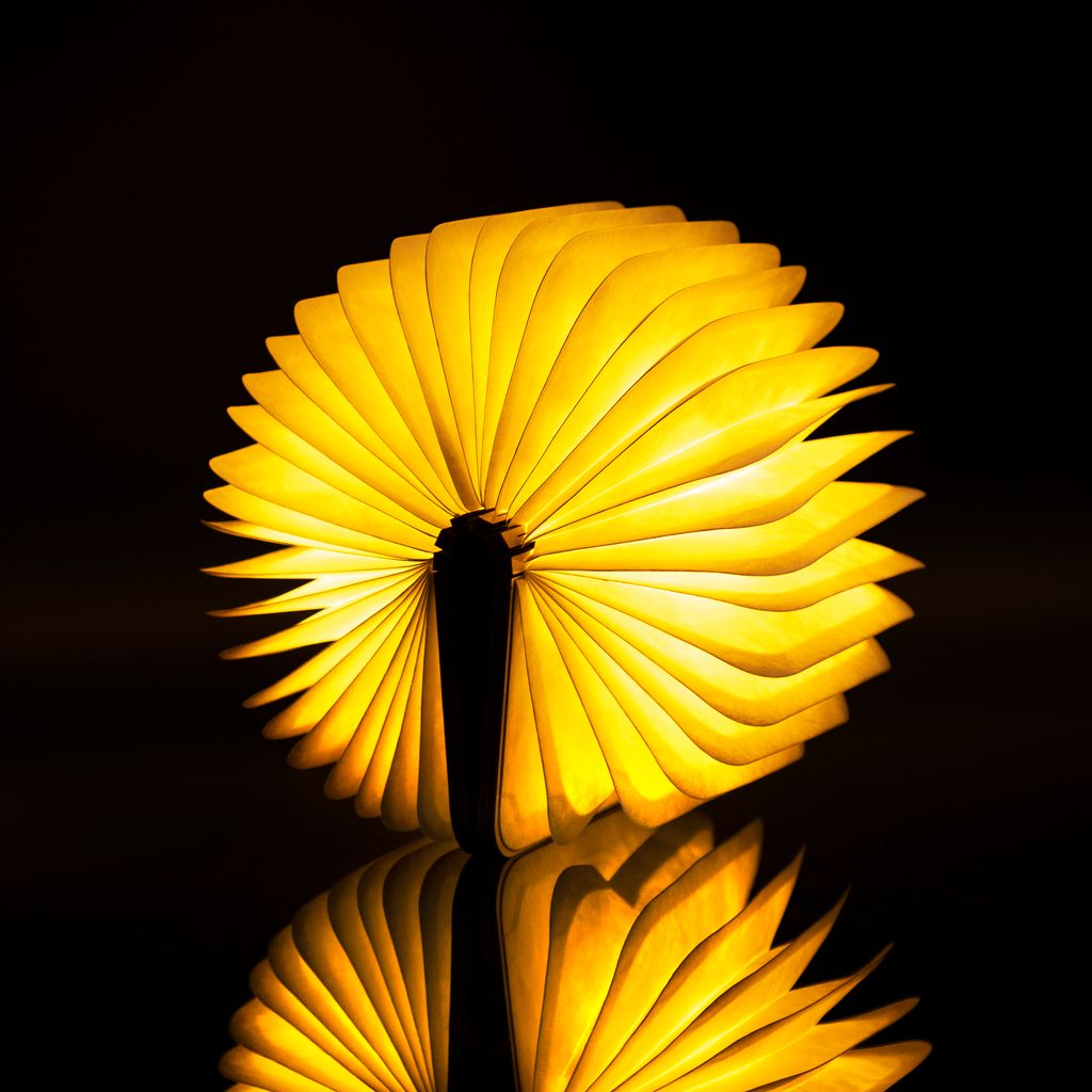 Smart Book Light