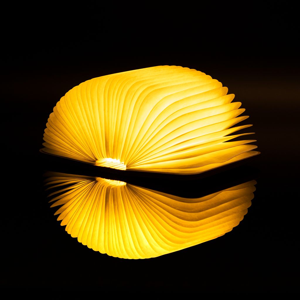 Smart Book Light
