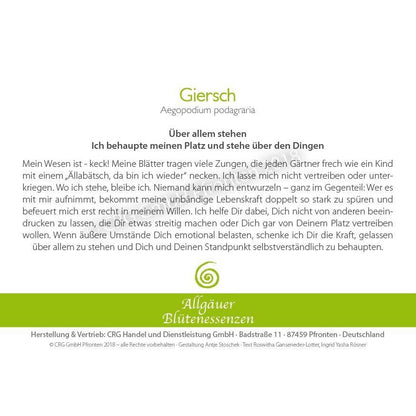 Blütenessenz Spray<br> Giersch Selbstbehauptung