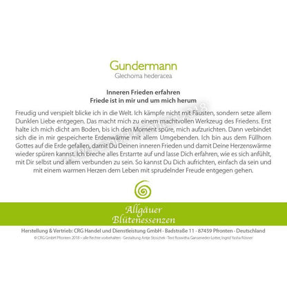 Blütenessenz Spray<br> Gundermann Innerer Frieden