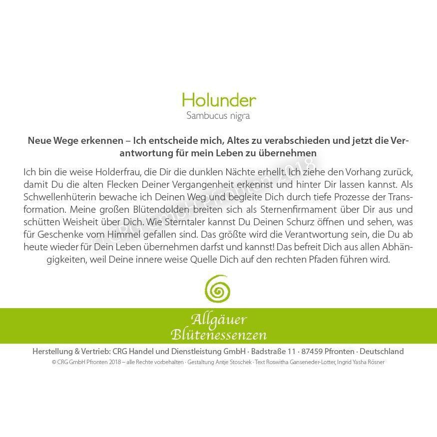 Essence florale d’Allgäu – sureau