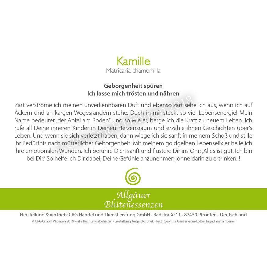Essence florale d’Allgäu – camomille