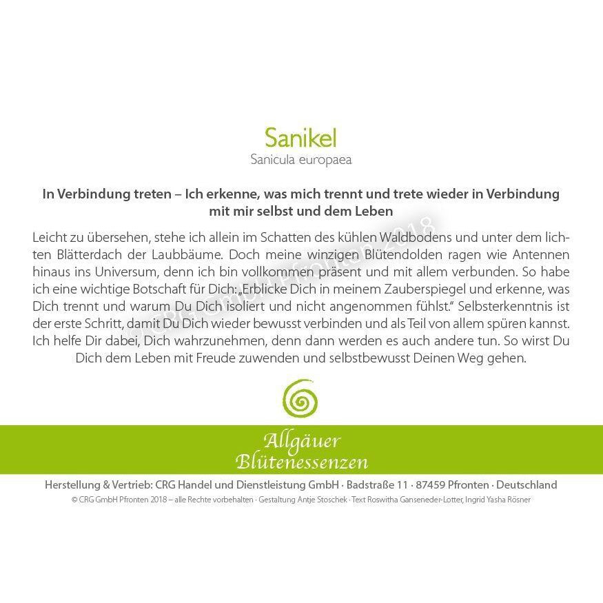Essence florale d’Allgäu – Sanikel