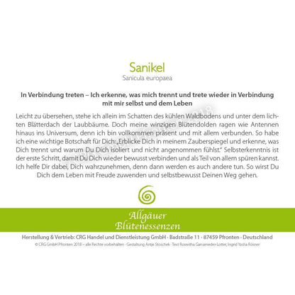 Essence florale d’Allgäu – Sanikel