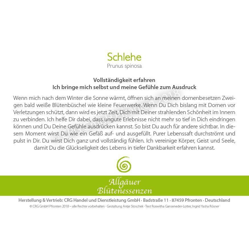 Essence florale d’Allgäu – prunellier