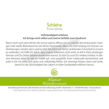 Essence florale d’Allgäu – prunellier