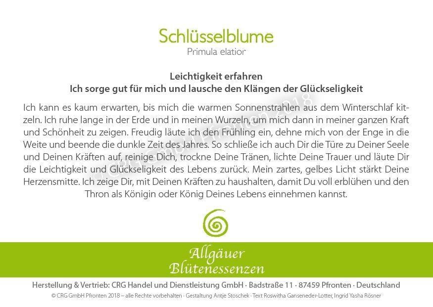 Essence florale d’Allgäu – primevère