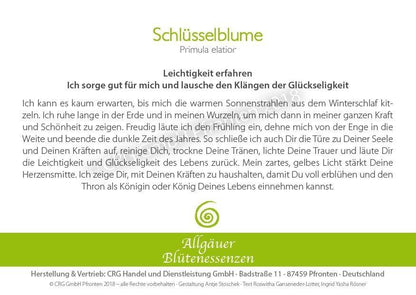Essence florale d’Allgäu – primevère