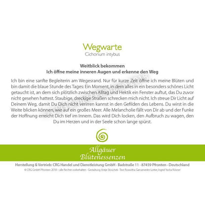 Blütenessenz Spray<br> Wegwarte Weitblick