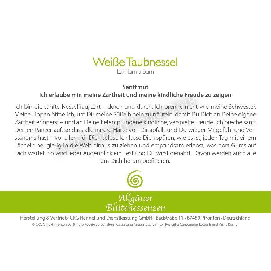 Essence florale d’Allgäu – ortie blanche