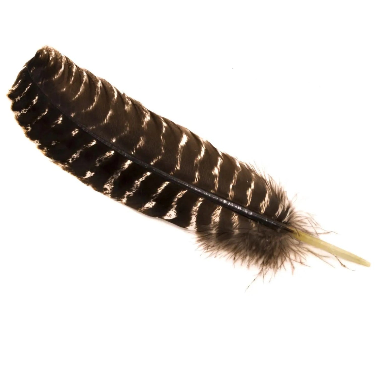 a003-00506_2400