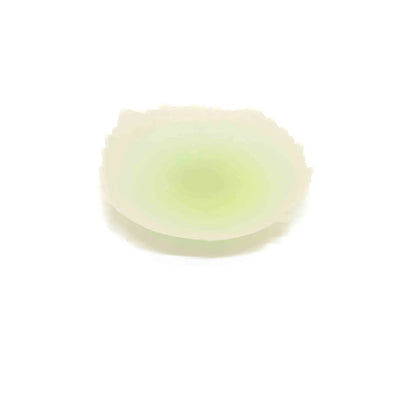 feuille-en-cire-grande-a006-00760-1_2400