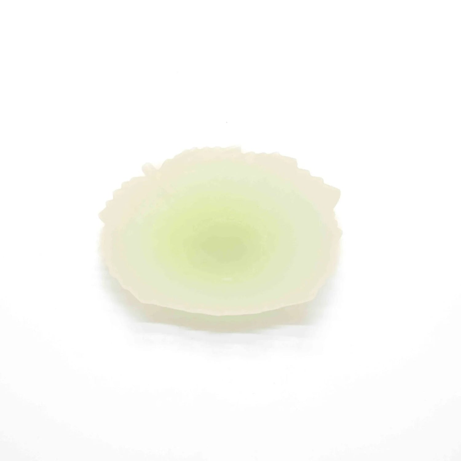 feuille-en-cire-grande-a006-00760-2_2400