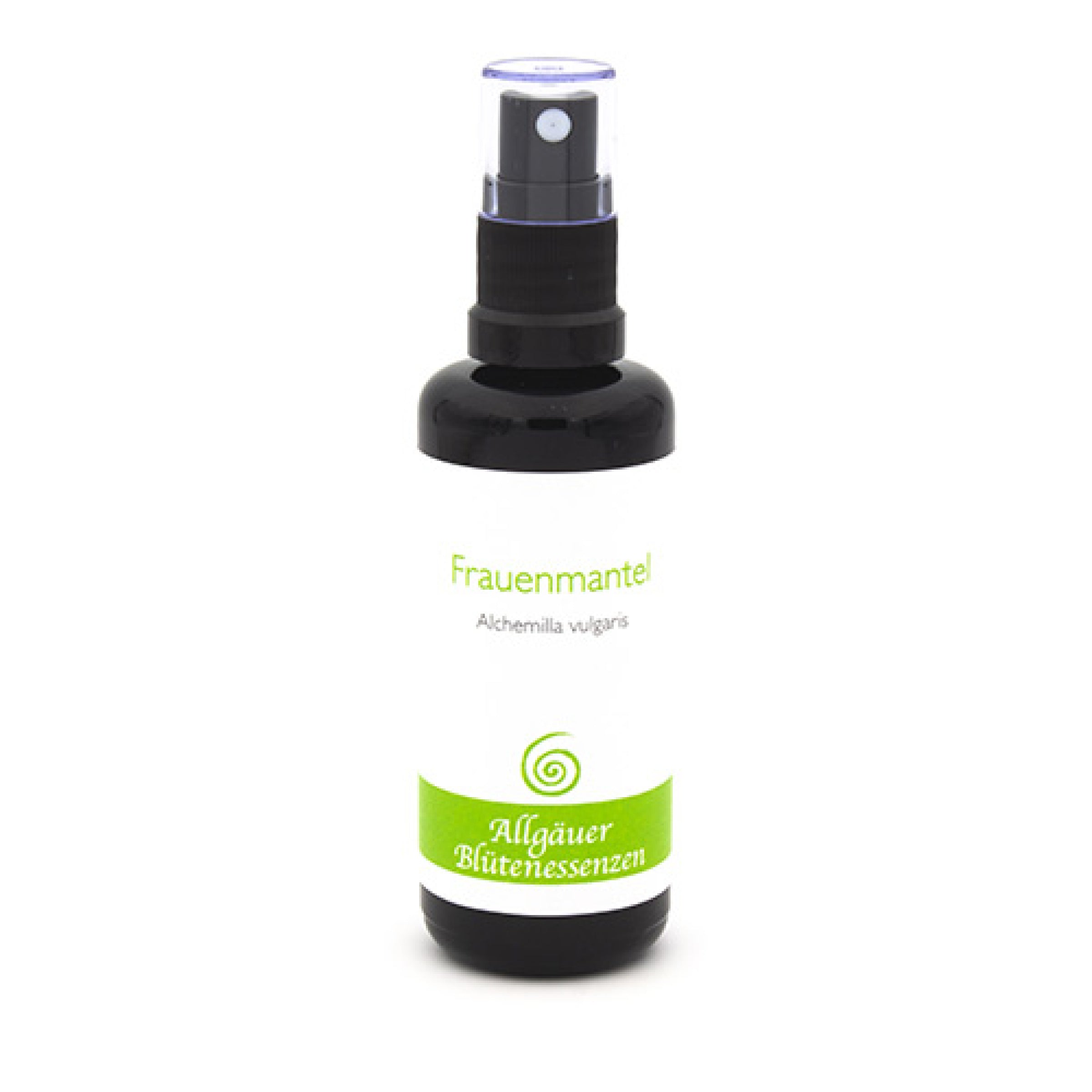 Essence florale d’Allgäu – alchémille