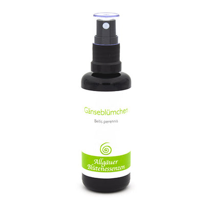 Essence florale d’Allgäu – marguerites