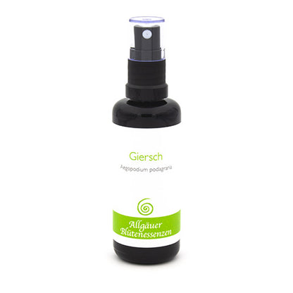 Essence florale d’Allgäu – Giersch