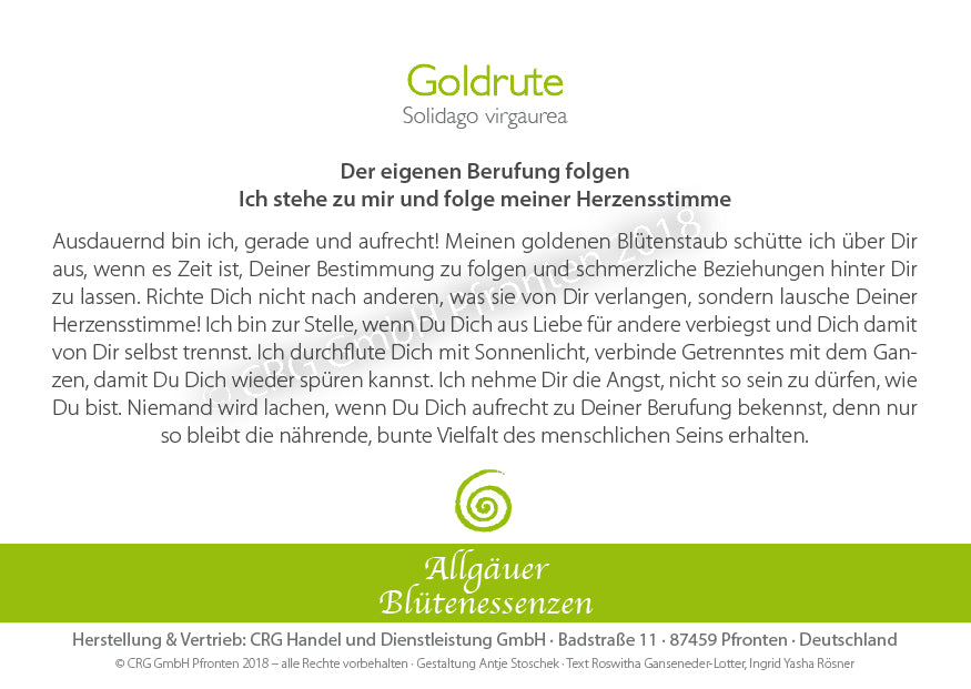Essence florale d’Allgäu – verge d’or