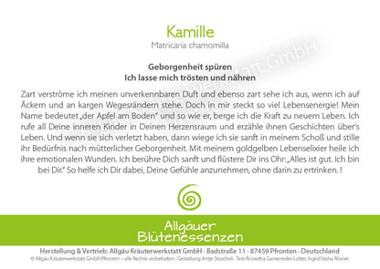 Essence florale d’Allgäu – camomille