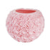 candele-a005-00128_2400