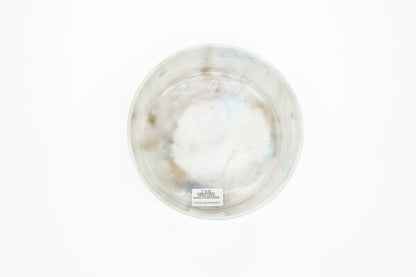 Bol chantant en cristal Labradorite, White Light Angel Gold
