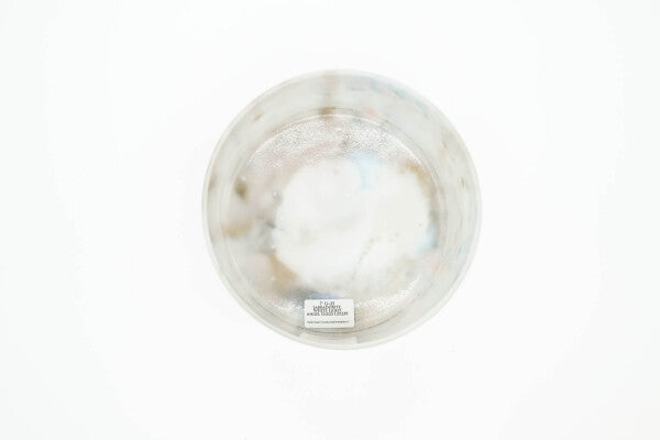Bol chantant en cristal Labradorite, White Light Angel Gold