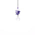Rainbowmarker-bianco-viola-a014-00623_2400