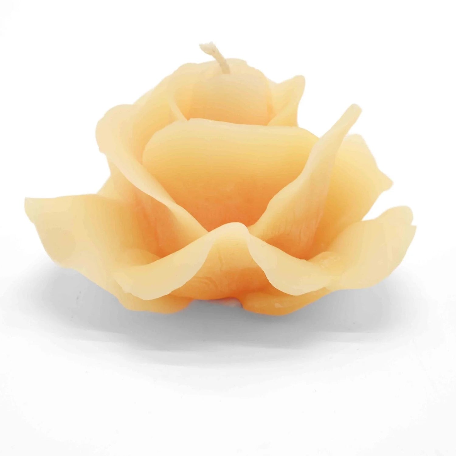 bougie rose-jaune-a006-00772-2_2400