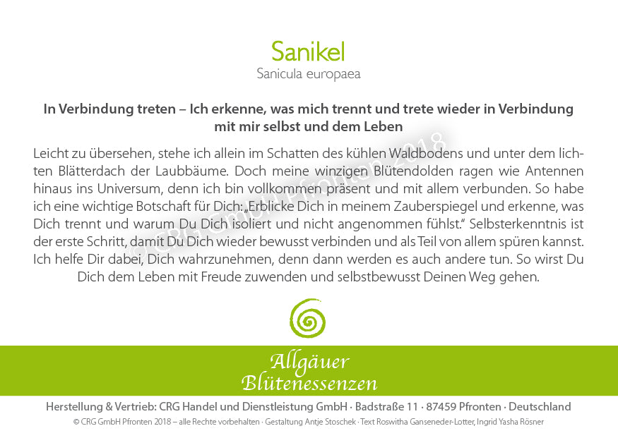 Essence florale d’Allgäu – Sanikel