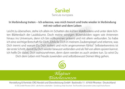 Essence florale d’Allgäu – Sanikel