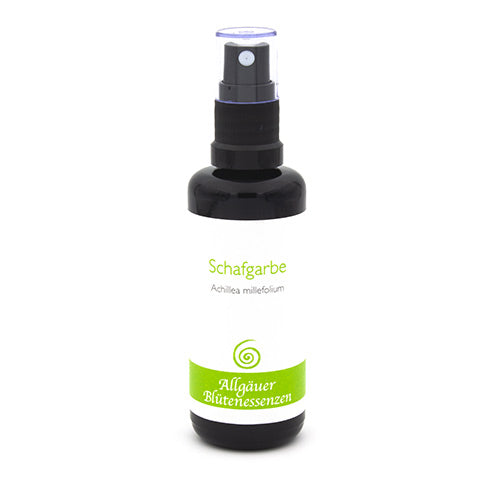 Essence florale d’Allgäu – achillée millefeuille