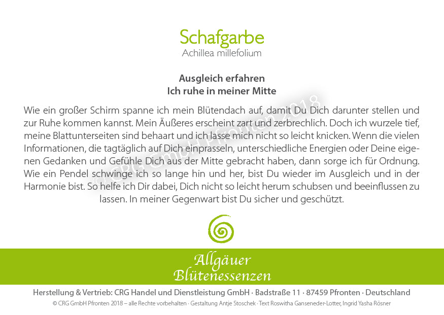 Essence florale d’Allgäu – achillée millefeuille
