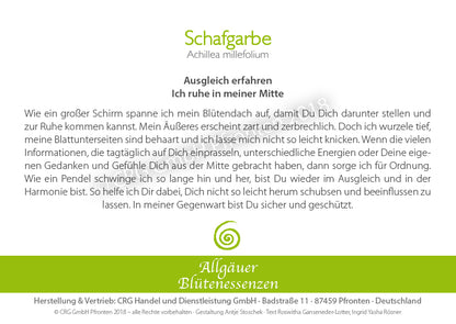 Essence florale d’Allgäu – achillée millefeuille