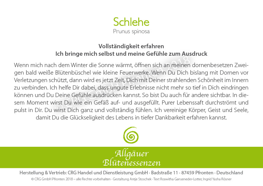 Essence florale d’Allgäu – prunellier
