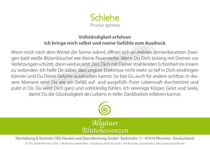Essence florale d’Allgäu – prunellier