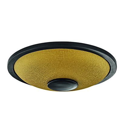 Small Steel Tongue Drum Gold Bottom