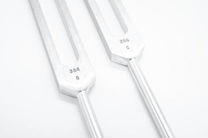Stimmgabel-Set Whole Body Tuners C&amp;G
